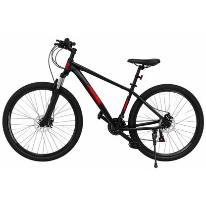 Bicicleta Aries Aluminio y Acero Rin 29