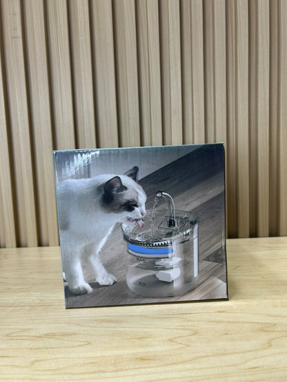 FUENTE PARA GATO TRANSPARENTE CON SENSOR